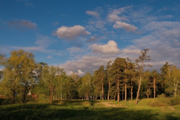 Пейзажи Томской области