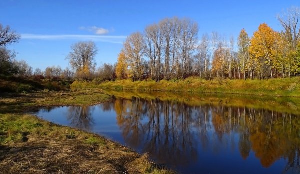 Томская область осень