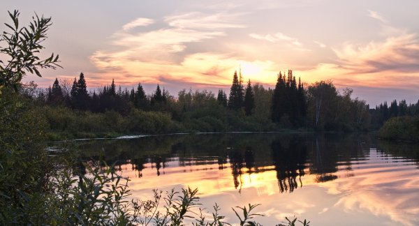 Природа Тайга Томск