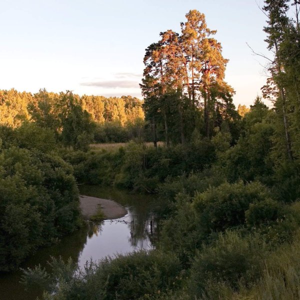 Томск природа