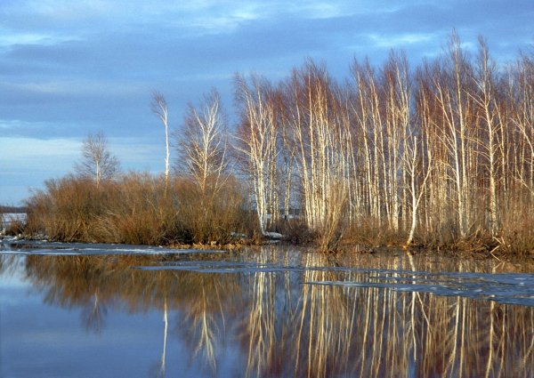 Томск природа и климат