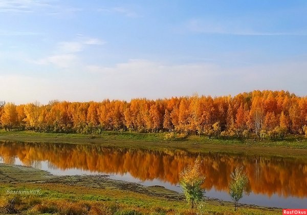 Природа Томска и Томской области