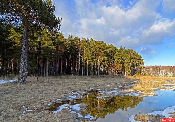 Пейзажи Томска