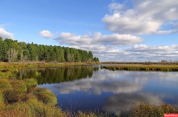 Свиное озеро Дмитровский