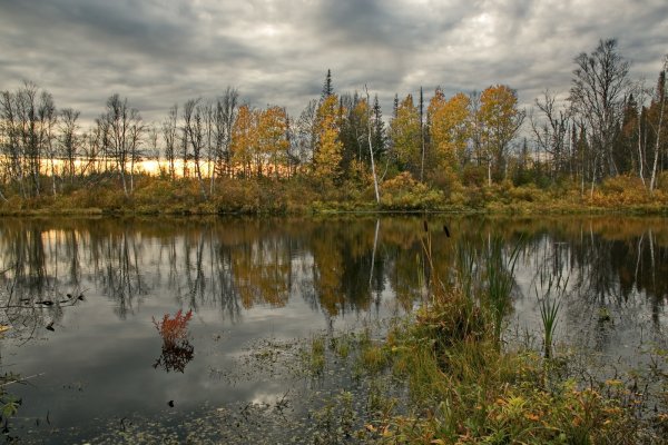 Томск природа