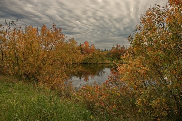 Томская область осень
