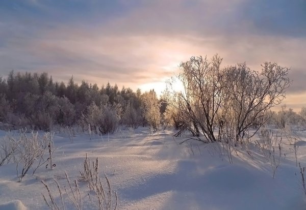 Зима в Сибири Томск