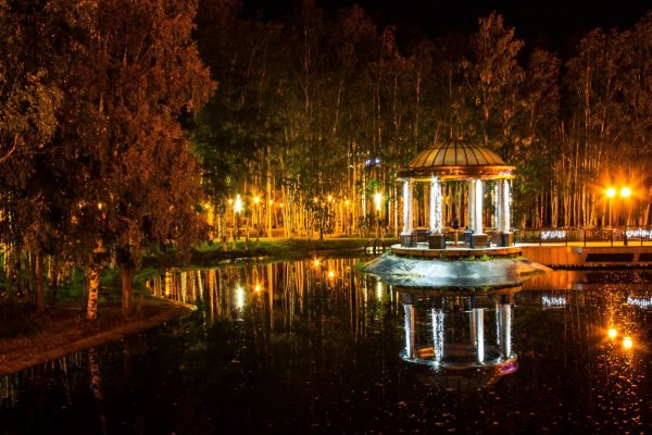 Парк Лосева Ханты-Мансийск ночь