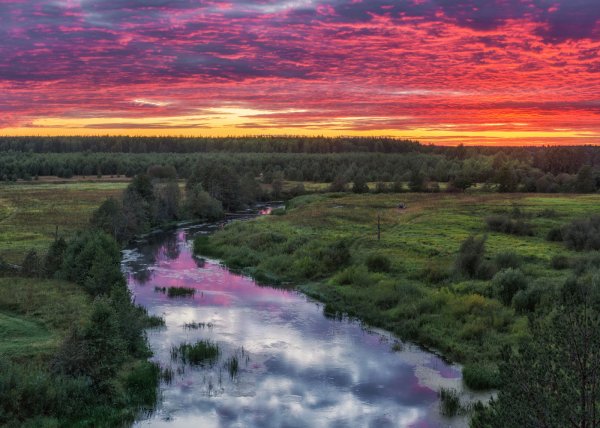 Природа Ярославской области