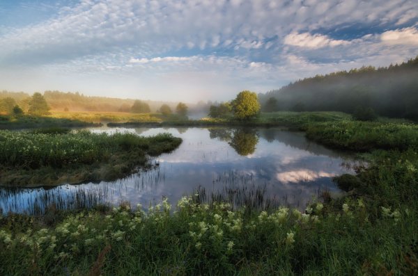 Река Нерль Ярославская