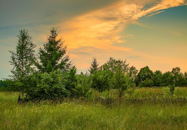 Природа Ярославской области