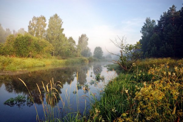 Река Солоница
