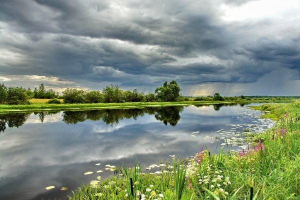 Ярославль природа речки