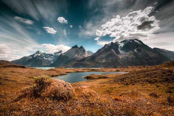 Природа Южной Америки