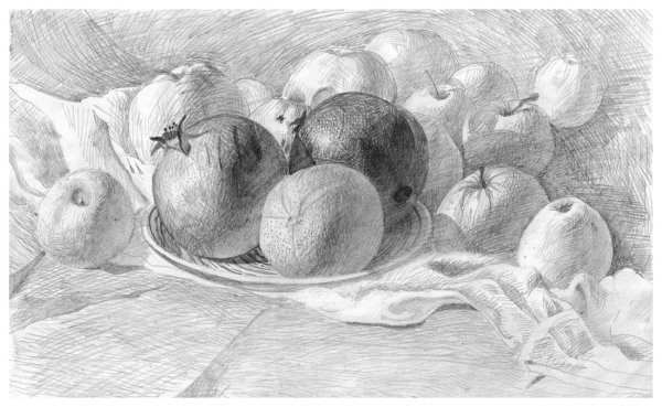 Натюрморт с фруктами карандашом