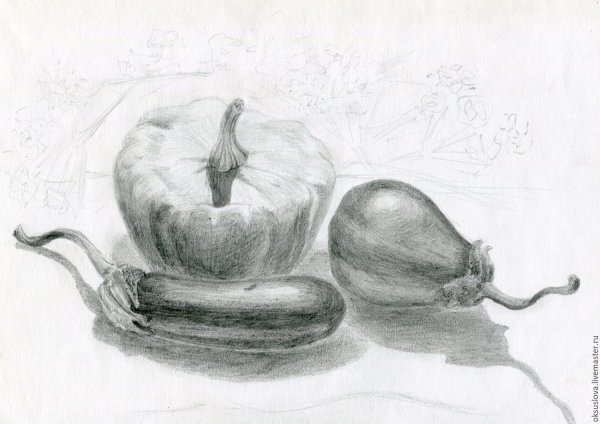 Эскиз натюрморта карандашом
