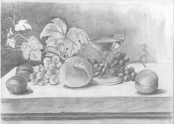 Рисование фруктов карандашом