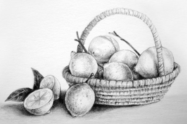 Натюрморт с фруктами карандашом