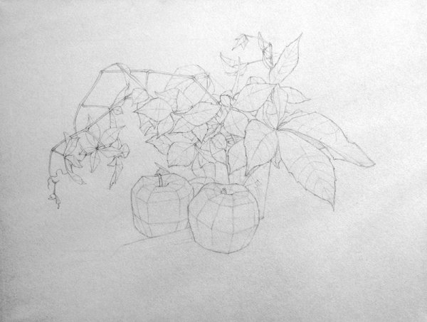 Рисование натюрморта из фруктов