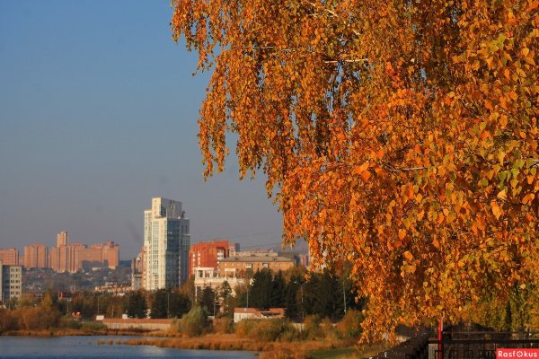 Золотая осень город Жуковский