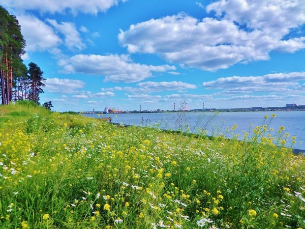 Ижевск лето