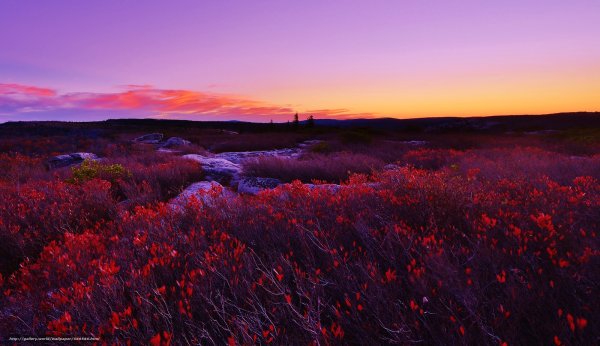 Природа закат