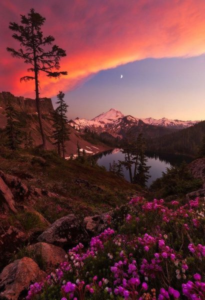 Пурпурный закат цвет