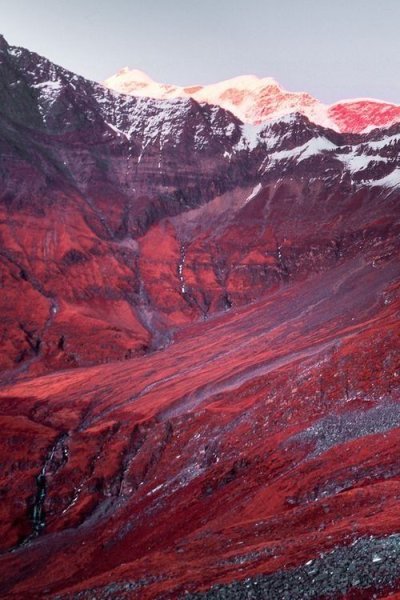 Красная осень