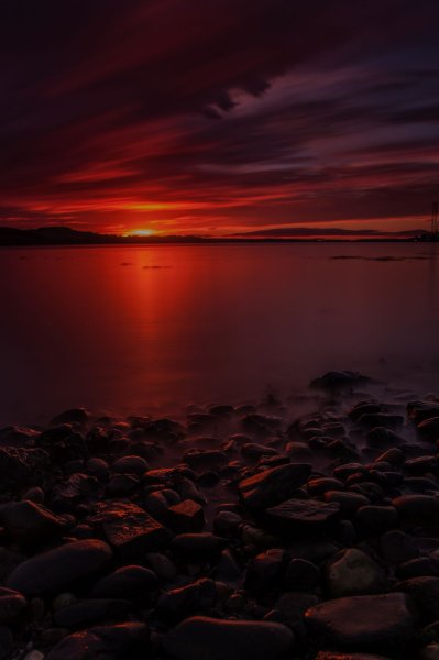 Красный лес