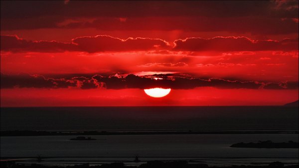 Красная природа