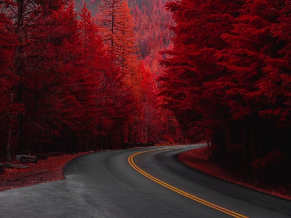 Вечерний пейзаж