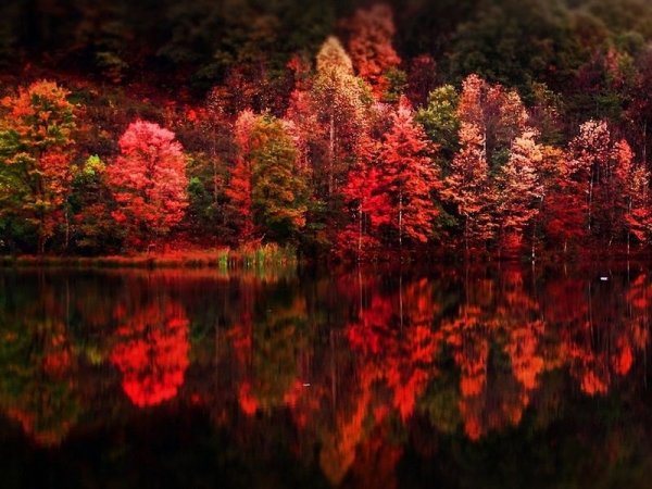 Японский пейзаж арт