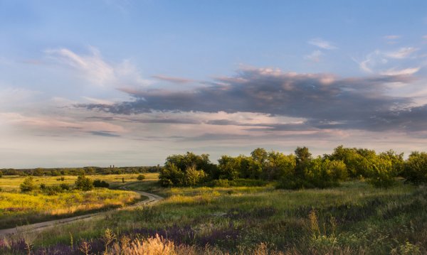 Природа Петровского района Саратовской области