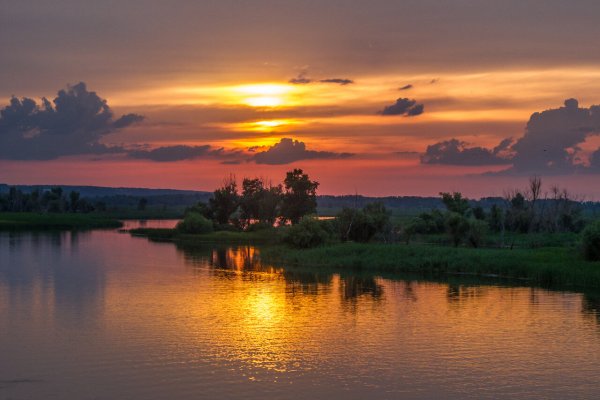 Природа Саратовского района