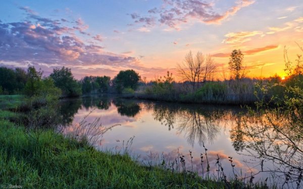 Красота природы Саратовской области