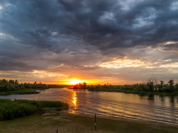 Природа Саратова и Саратовской области