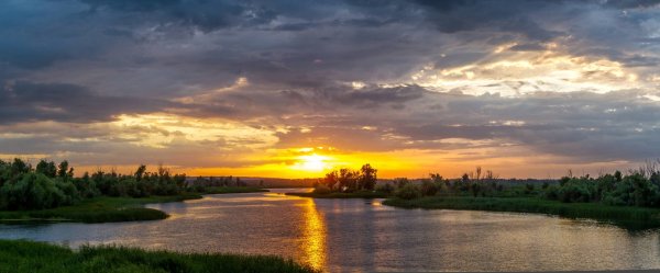 Саратов природа