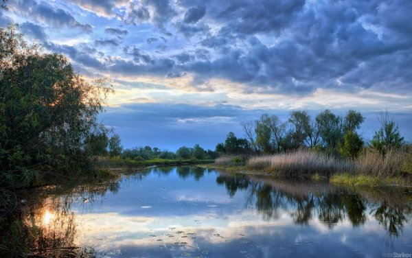 Река Ипуть Брянская область закат