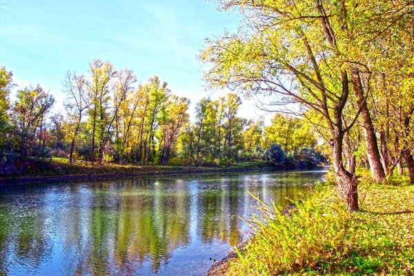 Природа Саратовской области