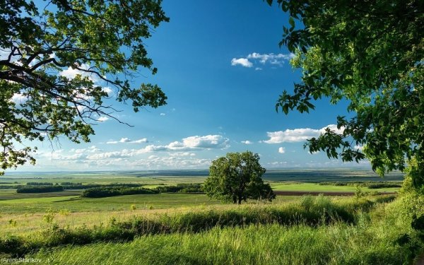 Природа в Саратовской обл