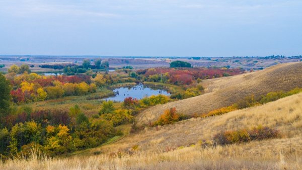 Степи Саратовской области