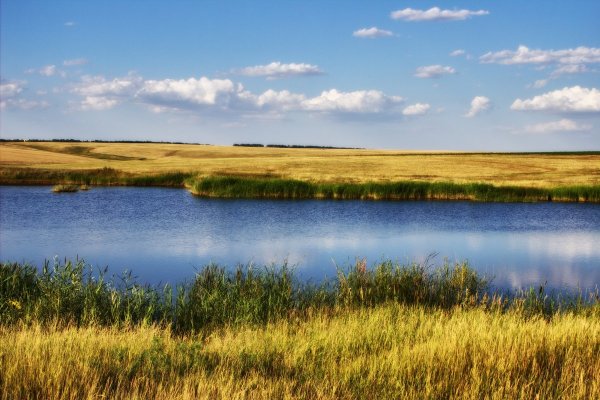 Степь Дергачевский район