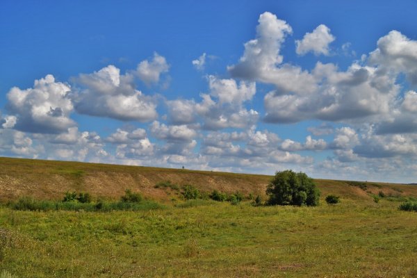 Дергачи Саратовская область природа