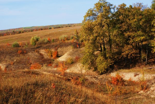 Овраги Саратовской области