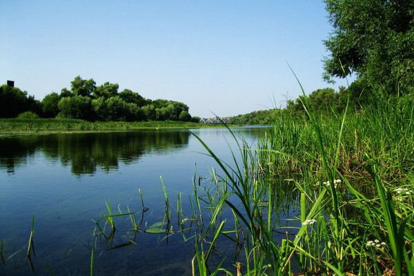 Хопёр река Саратовская