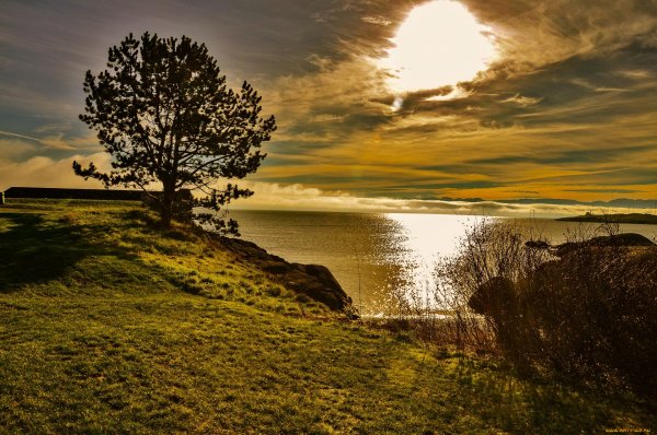 Профессиональные пейзажи