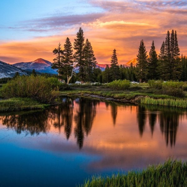 Пейзажи природы