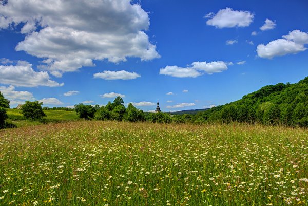 Фото Луга Марий Эл
