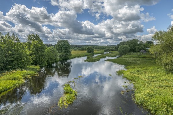 Река Волчина
