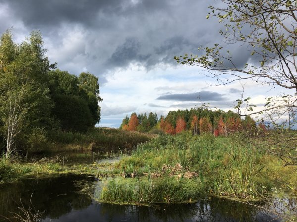 Природа Твери и Тверской области